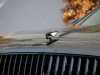 Best price secondhand vehicle Flying Spur Bentley at - Occasions