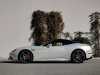 For sale used vehicle California Ferrari at - Occasions