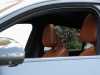 Sale used vehicles GLC Coupe Mercedes-Benz at - Occasions