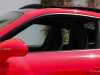 Sale used vehicles 911 Coupe Porsche at - Occasions