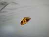 Vente voitures d'occasion Macan Porsche at - Occasions