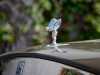For sale used vehicle Cullinan Rolls-Royce at - Occasions