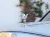 Sale used vehicles Cullinan Rolls-Royce at - Occasions
