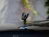 Achat véhicule occasion Dawn Rolls-Royce at - Occasions